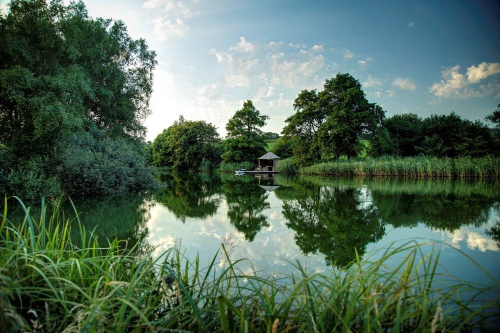 Sculpture by the Lakes achieves Botanic Garden Status (1)