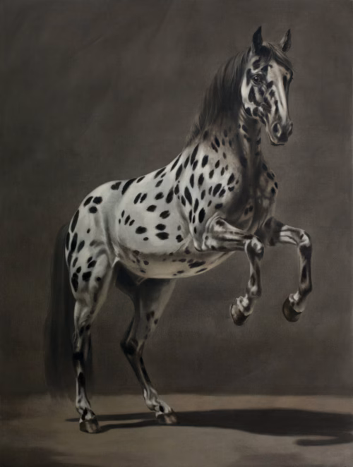 FCN_Stalking Horse