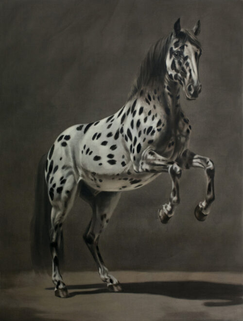 FCN_Stalking Horse